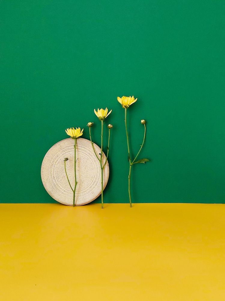 Photograph by Наталия Дроздова