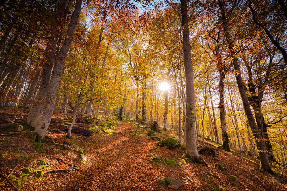 The hidden treasure of the Balkan