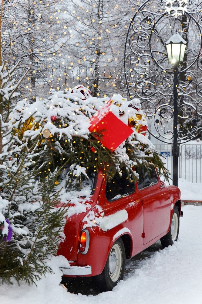 Winter