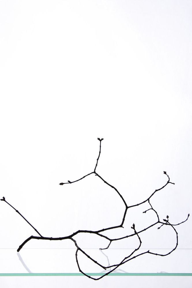 Photograph by Громова Мария