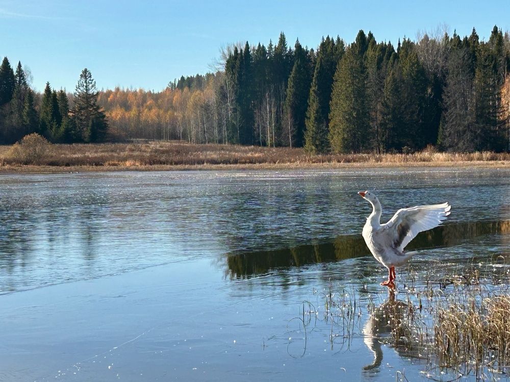 Photograph by Евгений Бирюков