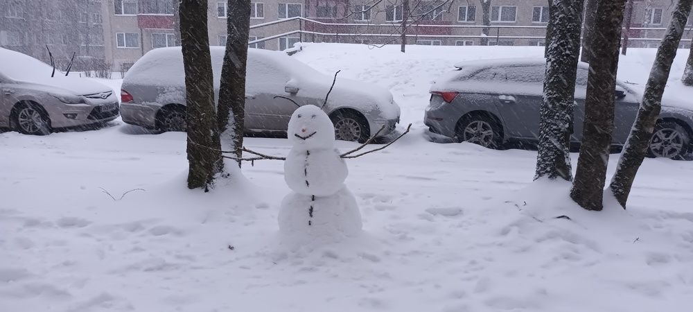 Просто зима