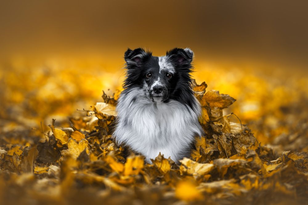 Фотография автора Lucie Nermuťová