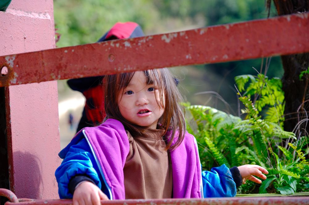 Through the Lens of Innocence