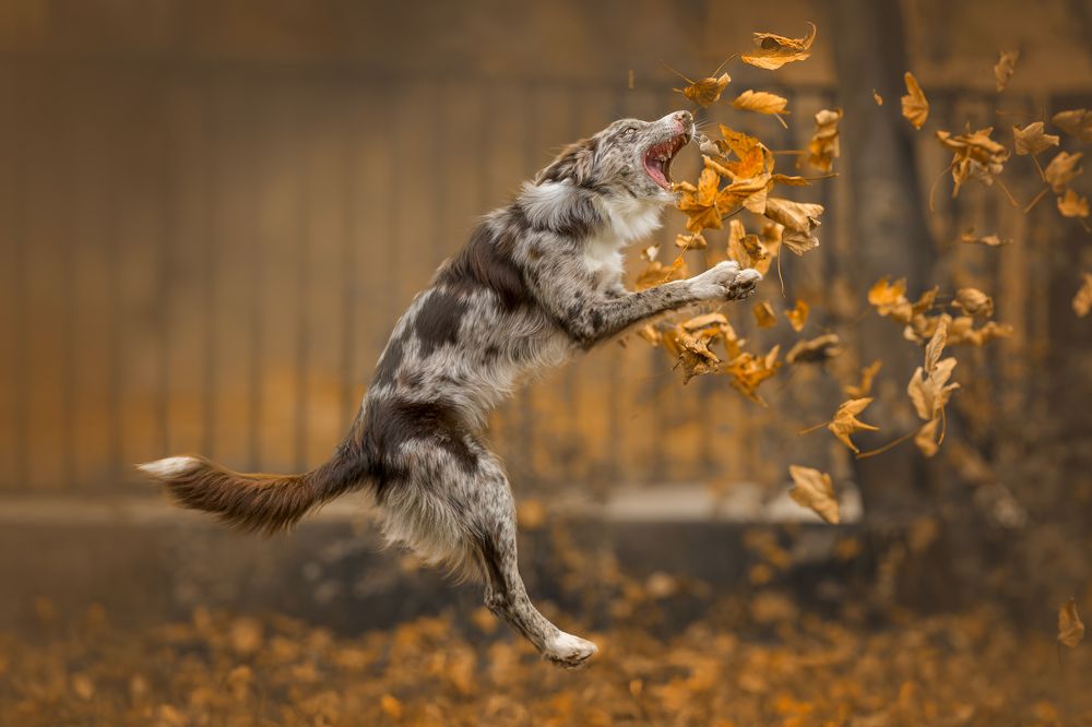 Photograph by Lucie Nermuťová