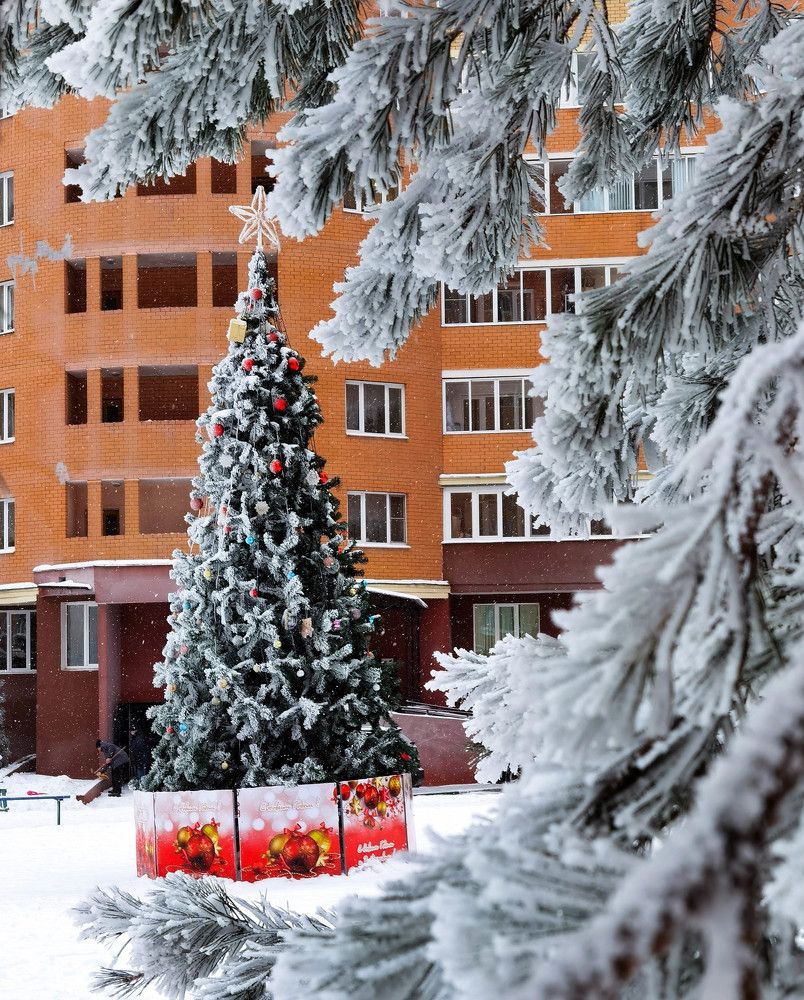 Photograph by Юлия