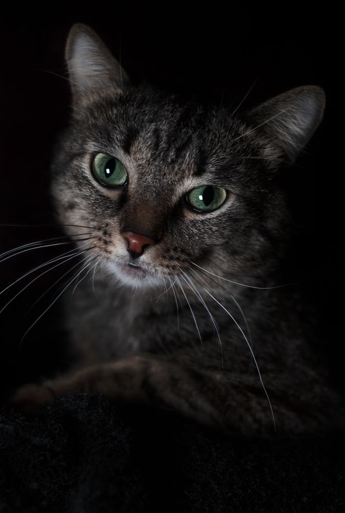 Photograph by Татьяна Шахматова