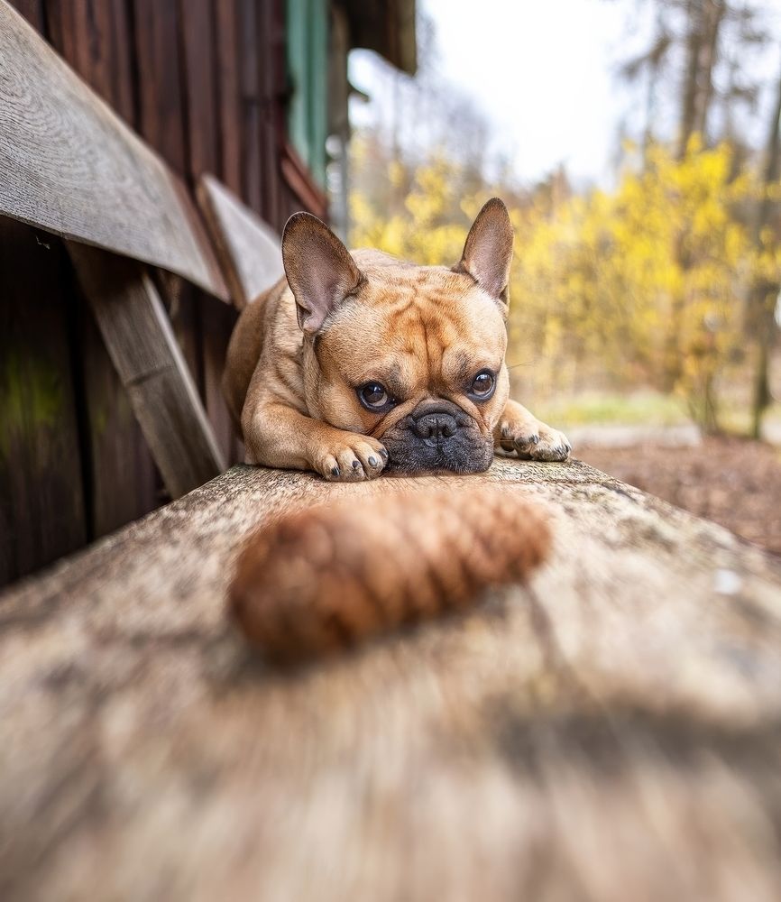 Photograph by Klaus Grimm