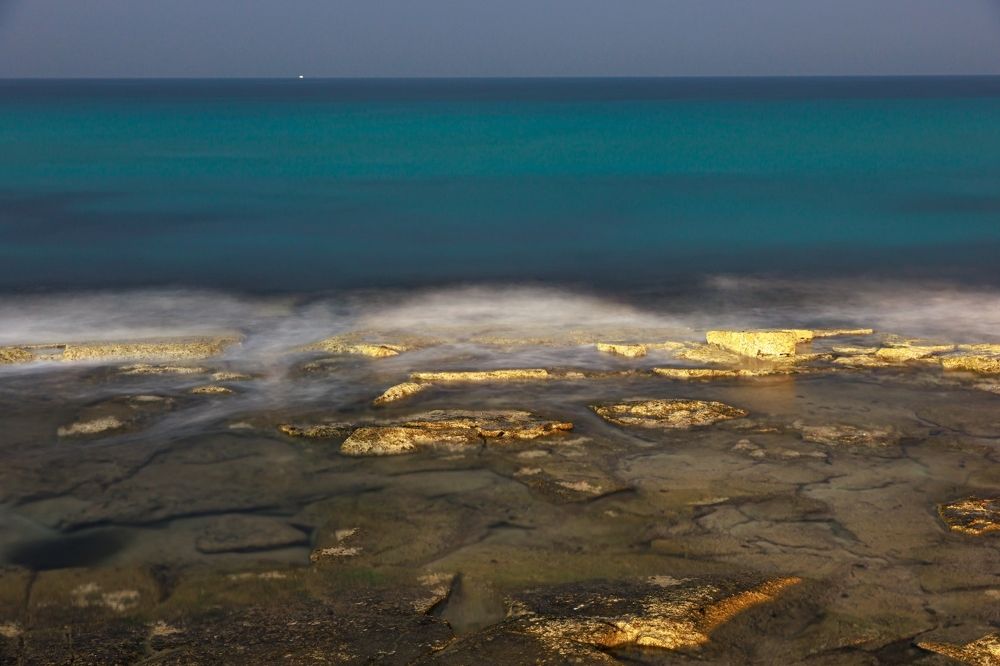 Photograph by Sharone