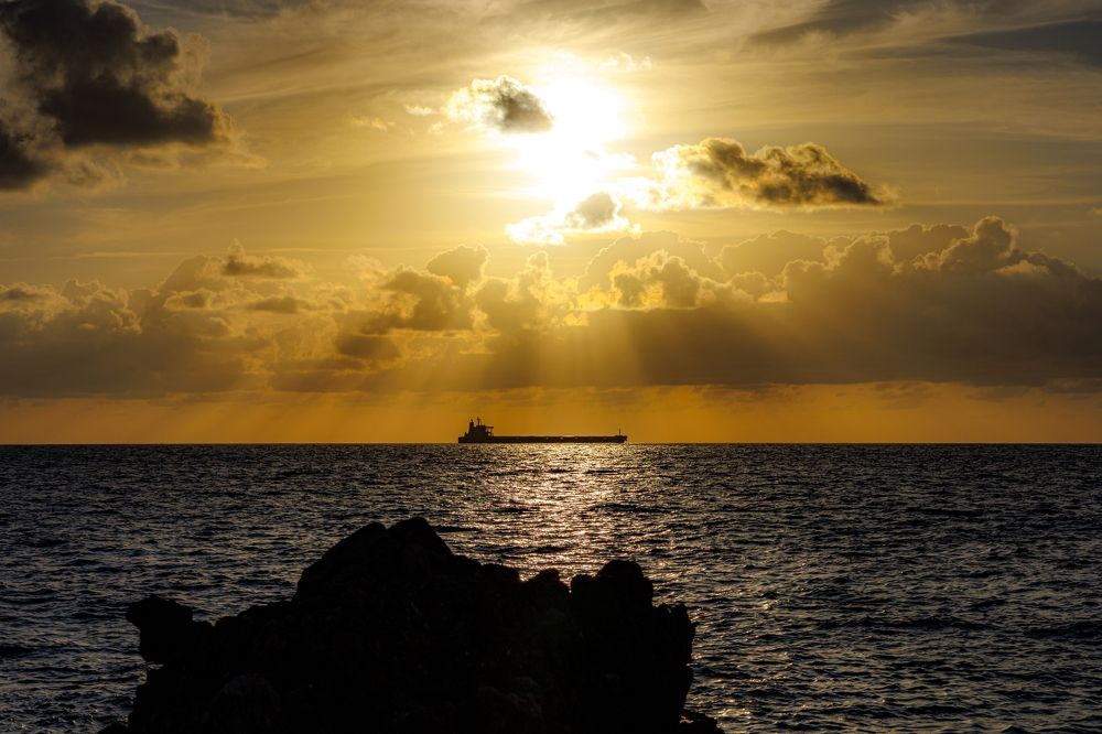 Photograph by Sharone