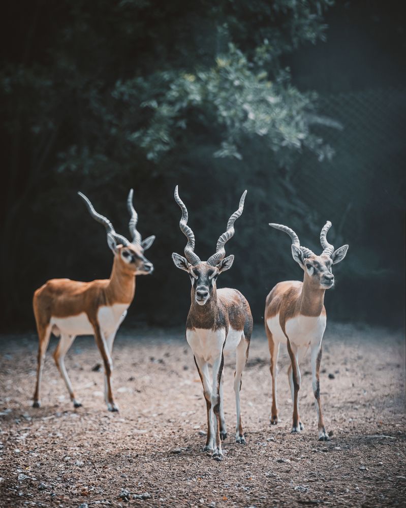 Photograph by Jamal Uddin