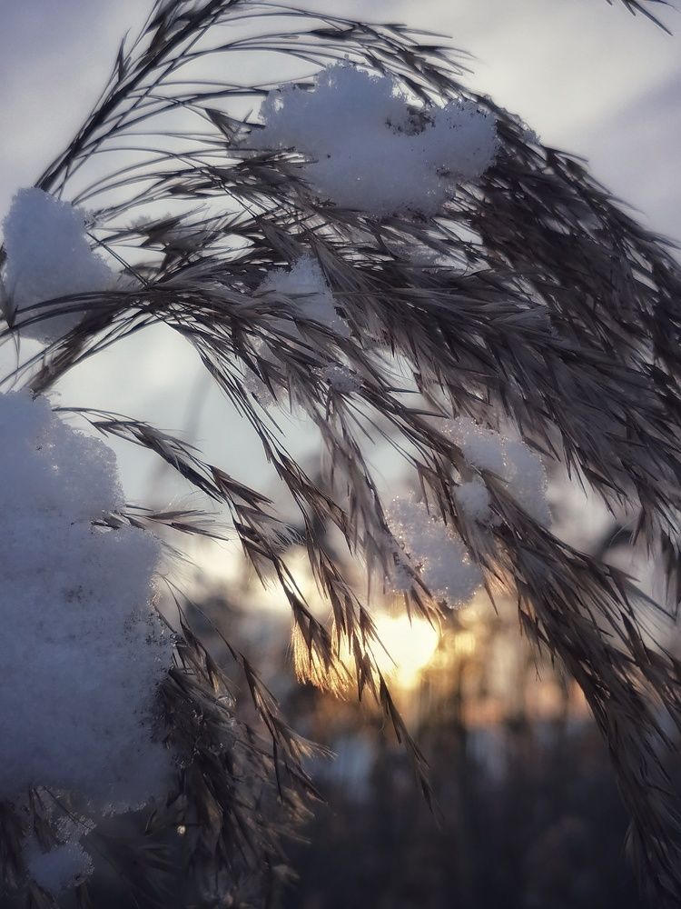 Photograph by Анжелика