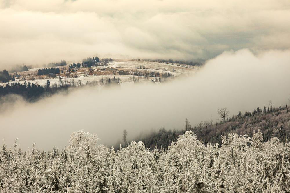 Photograph by Katarzyna Latus-Gruszka