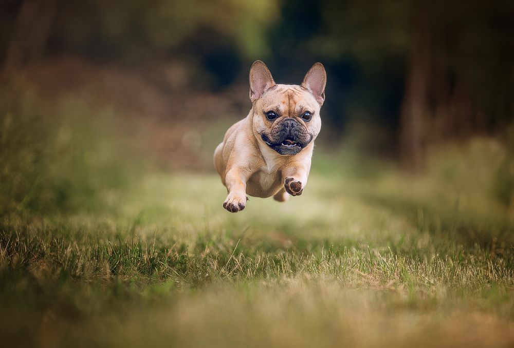 Photograph by Klaus Grimm