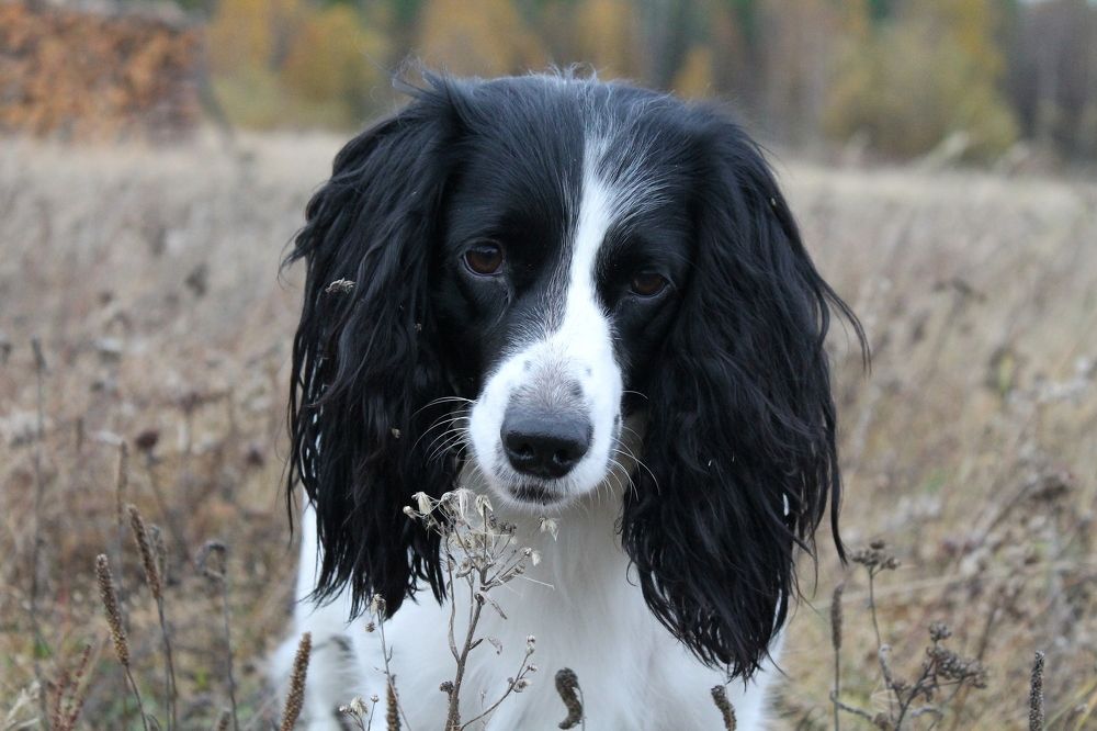 Photograph by Екатерина Филина