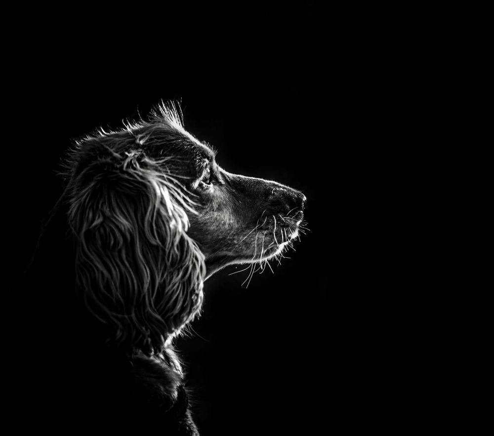 Photograph by Rakesh