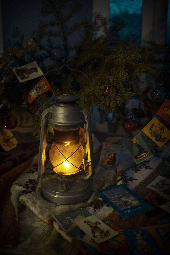 Фотография автора Романова Инга