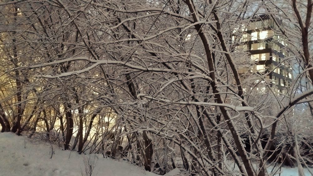 Photograph by Блюмина Елена