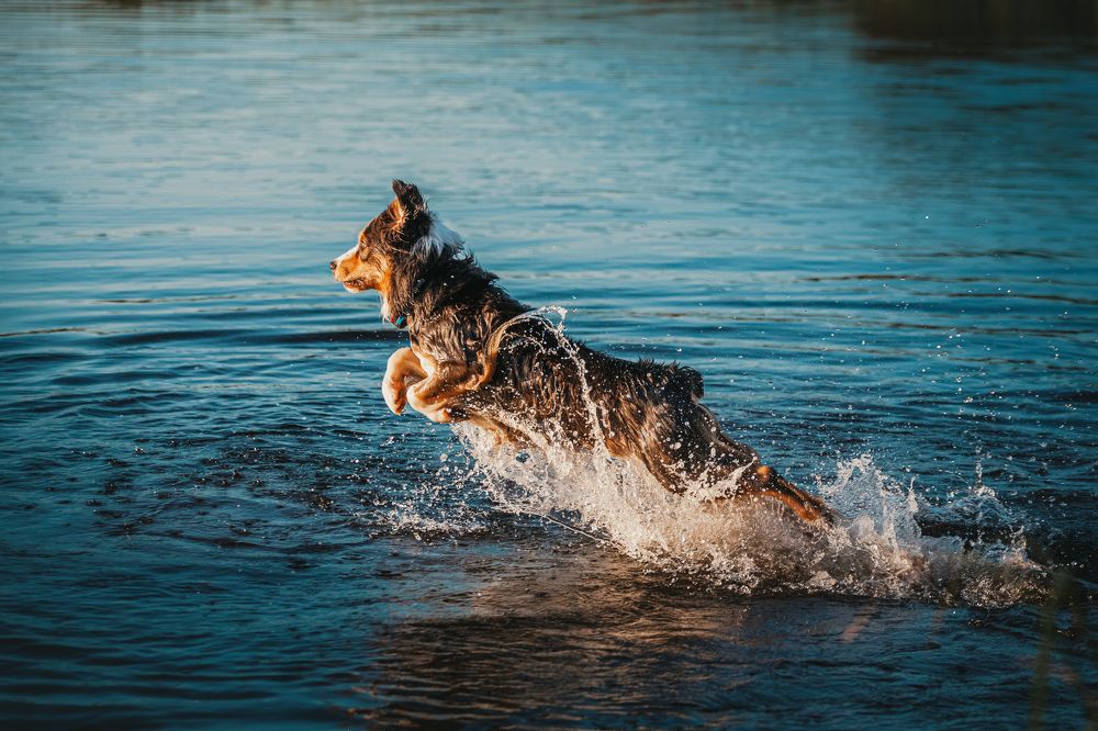 Photograph by Татьяна Степанова