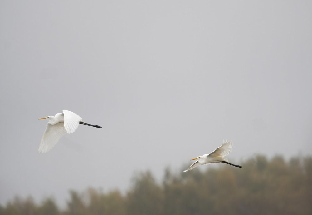Photograph by Андрей Кореняк