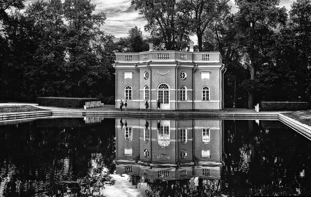 Фотография автора Елена Лаврова