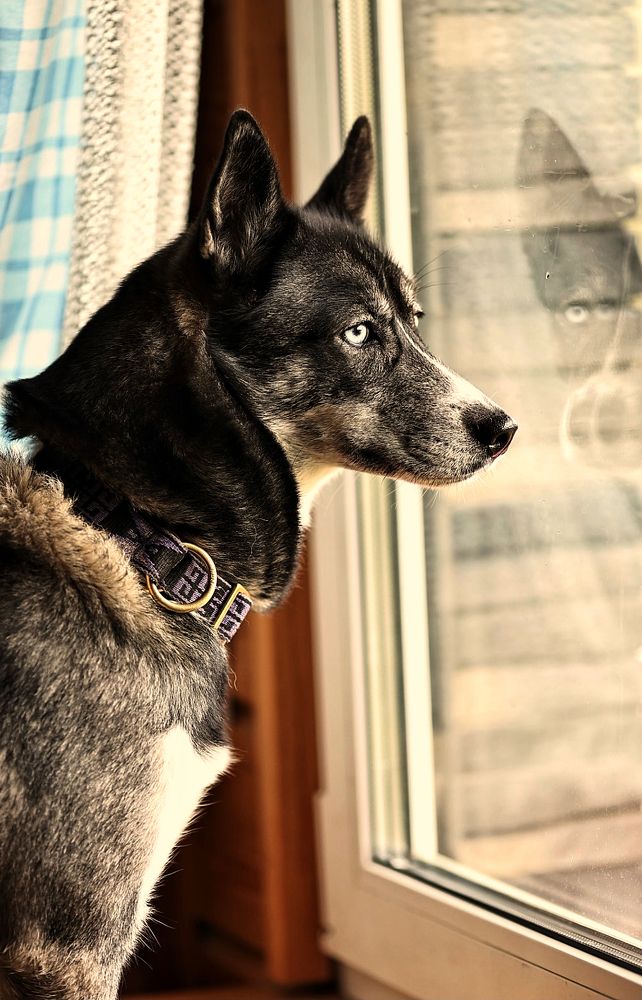 Photograph by Елена Одынец