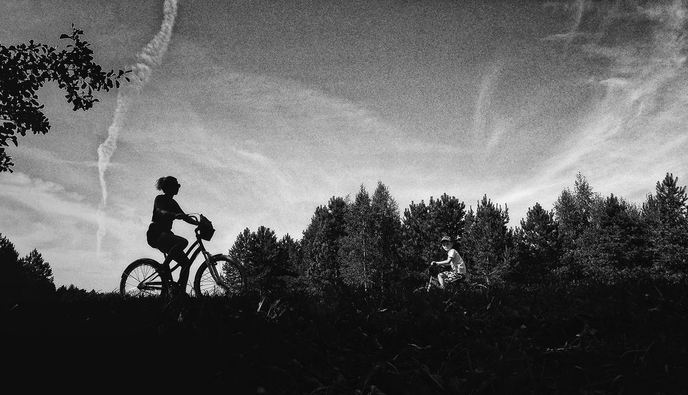 Фотография автора Елена Лаврова