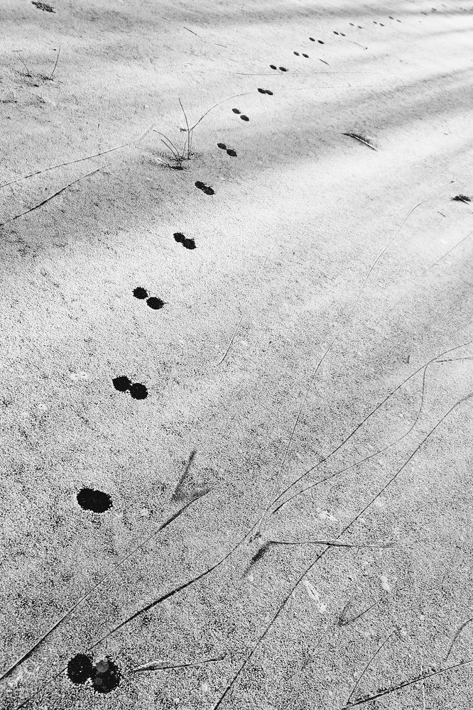 Photograph by Анна Григорьева