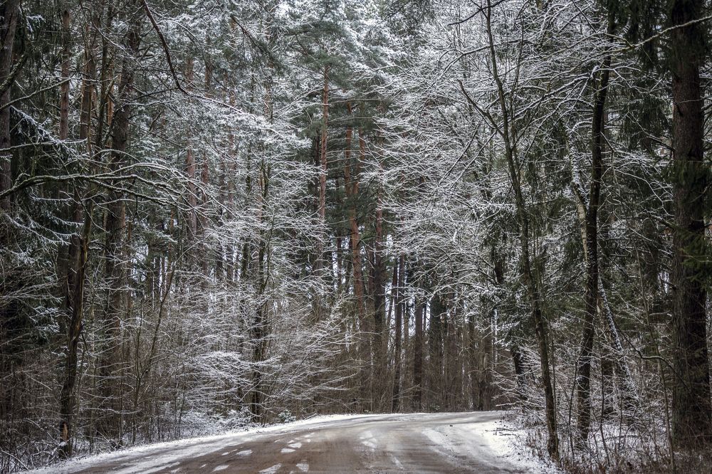 Photograph by Alexandra Chalova