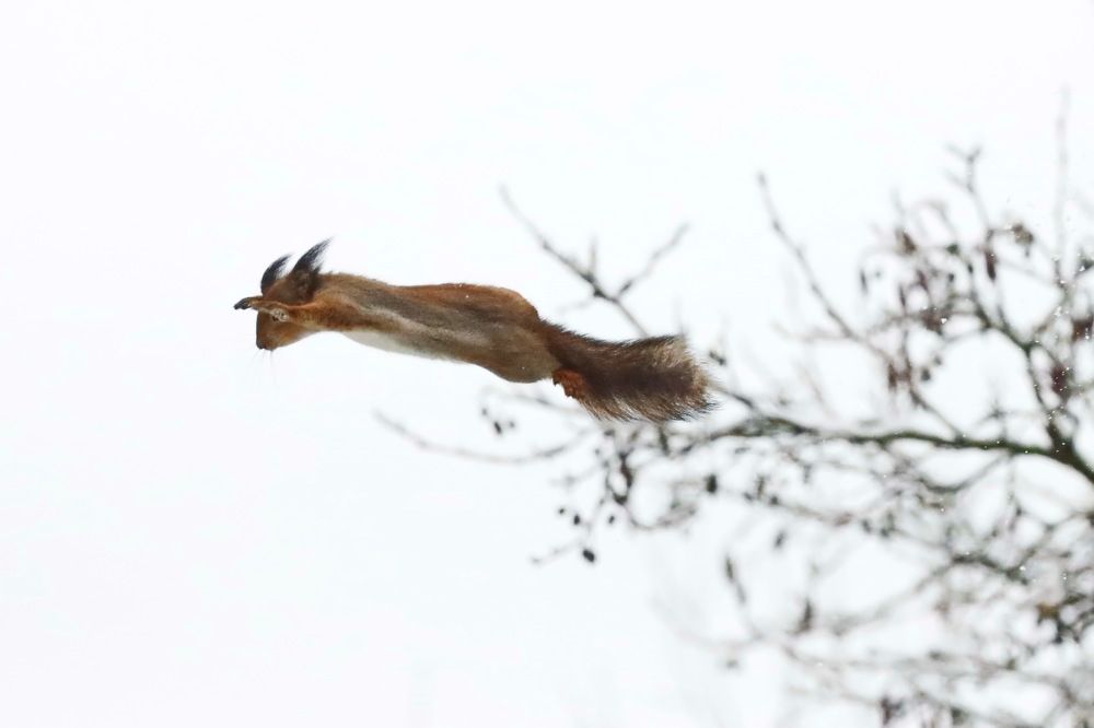 Photograph by Сергей Маслов