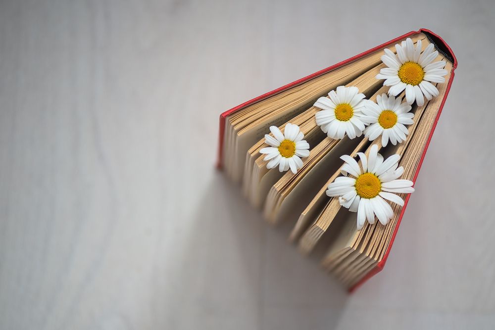 Photograph by Кадырова Марина