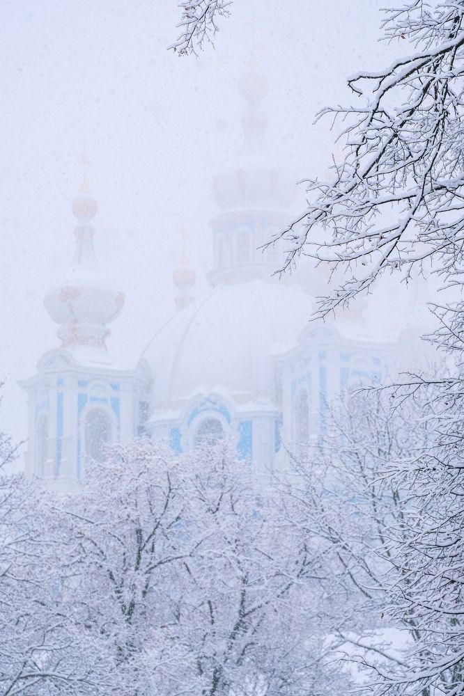 Photograph by Виктория Бердышева