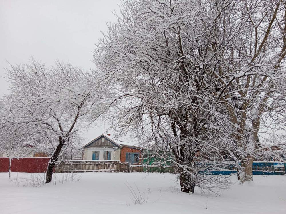 Photograph by Галина Григорьева