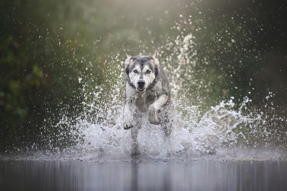 Фотография автора Rut Casanellas