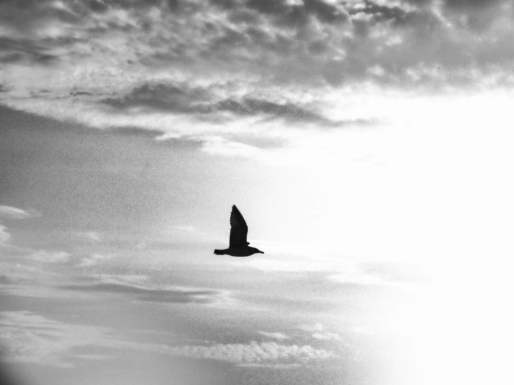 Фотография автора Анастасия Зайчуковская