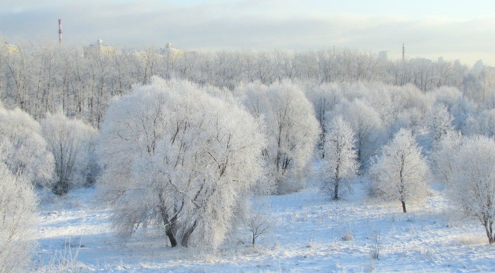 Photograph by Жанна Нечаева