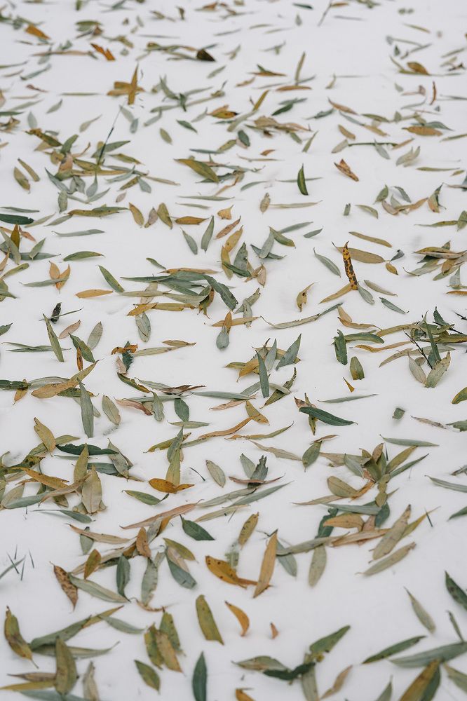 Фотография автора Julia Gorbacheva