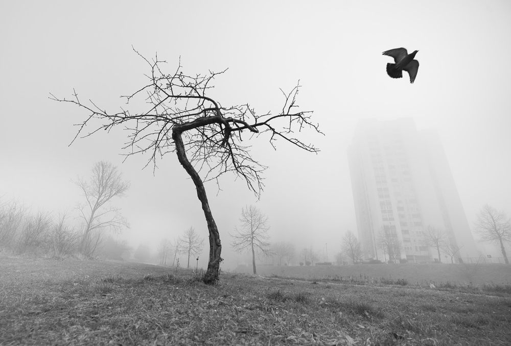 Photograph by muhamed borovic