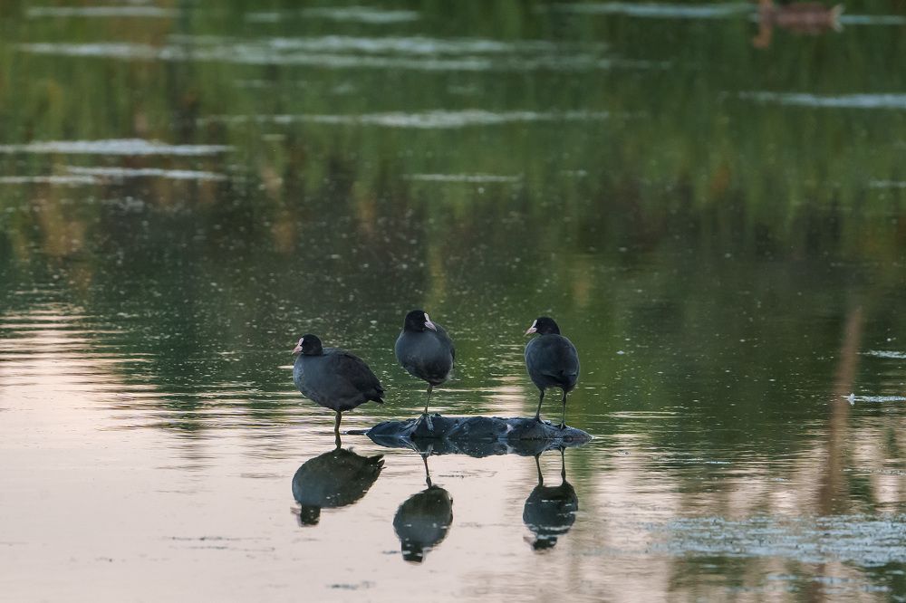 Фотография автора Julia Gorbacheva