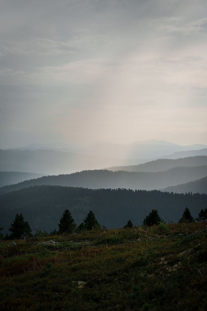 Фотография автора Julia Gorbacheva