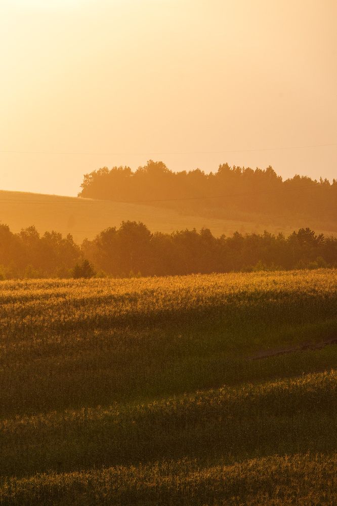 Фотография автора Julia Gorbacheva