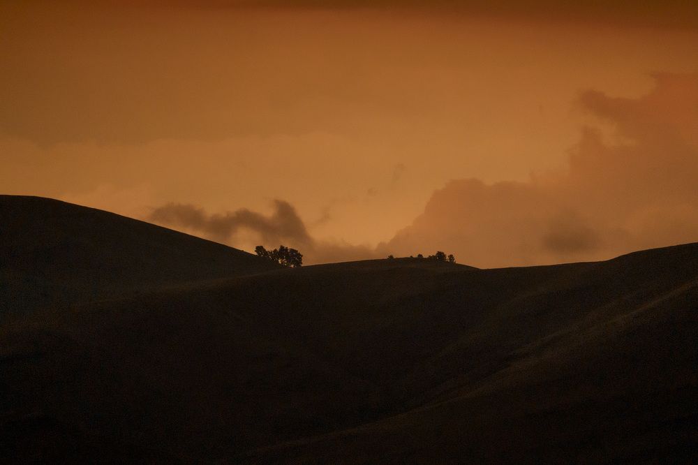 Фотография автора Julia Gorbacheva