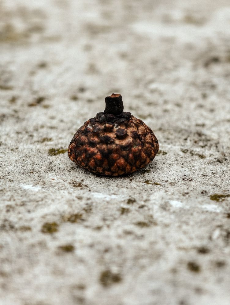 Photograph by Евгений Порсов