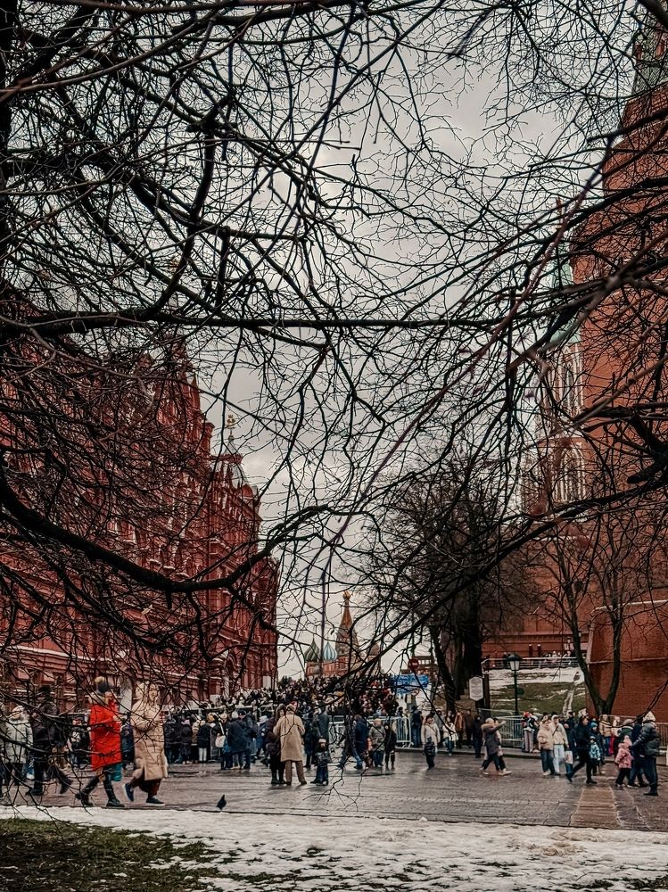 Photograph by Елена Жукова