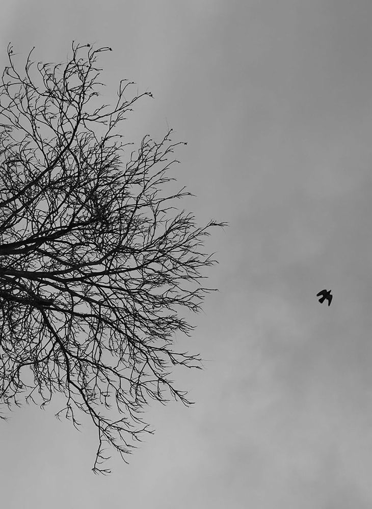 Photograph by Ulas Sonmez