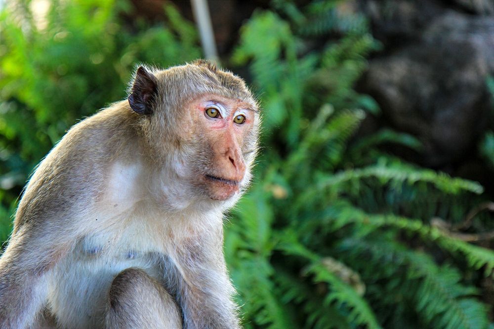 Фотография автора Ser P