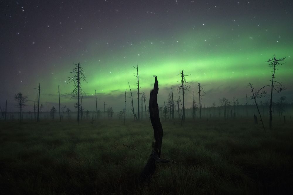 Photograph by Иван Чаланов