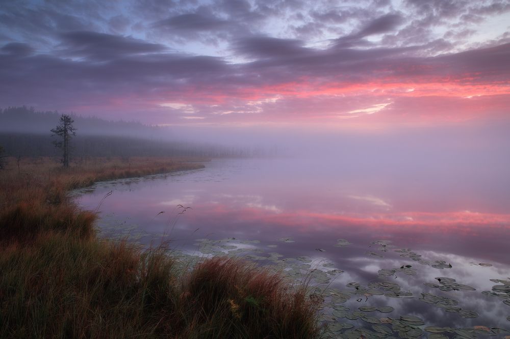 Photograph by Иван Чаланов