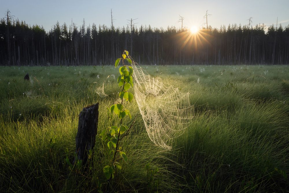 Photograph by Иван Чаланов