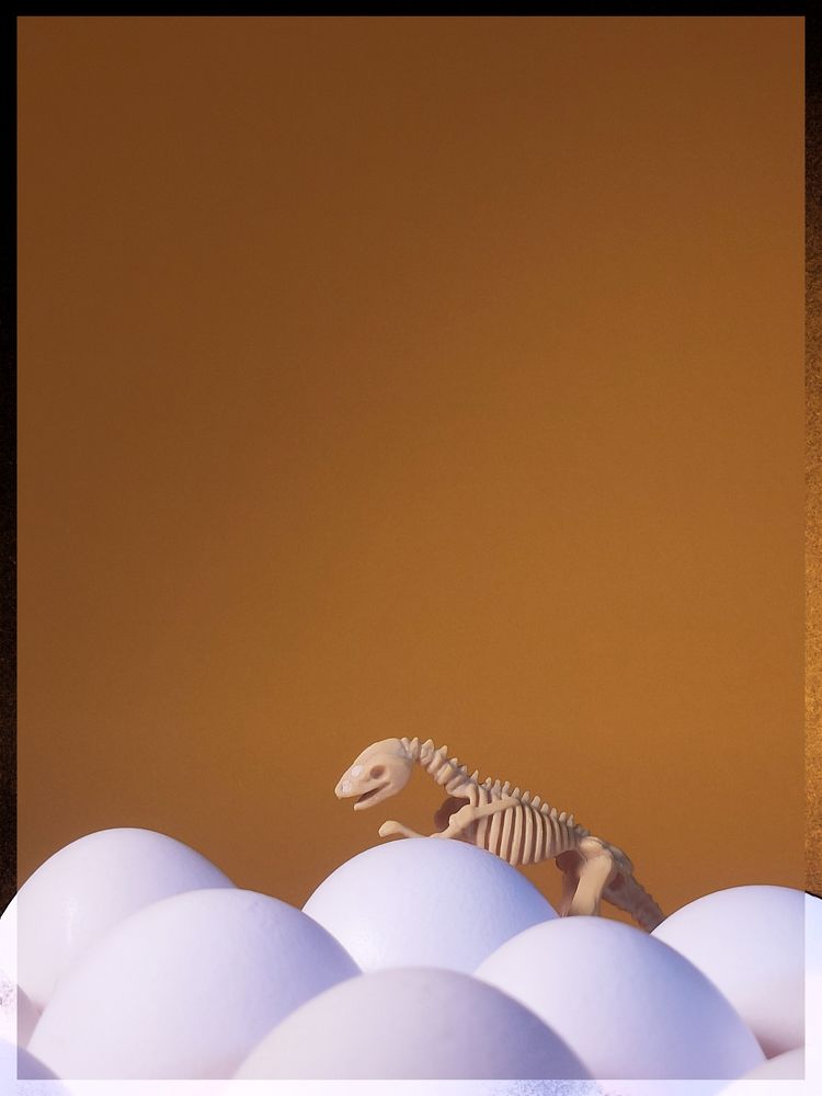 Фотография автора Антон Ульрих